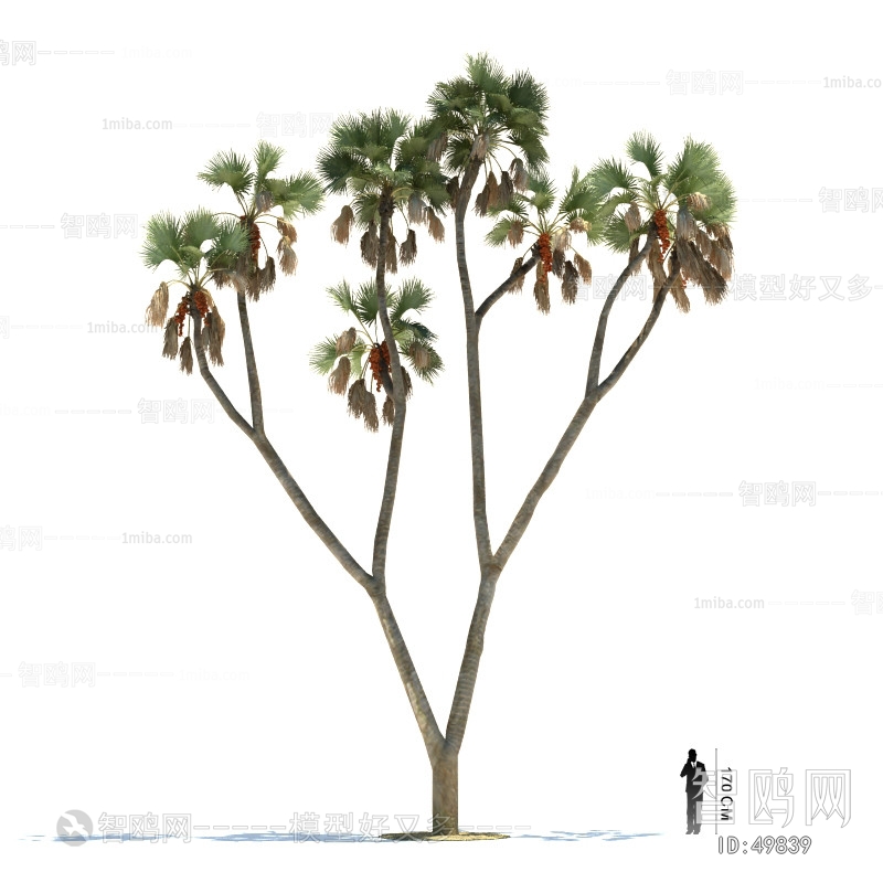 Modern Tree/shrub/grass