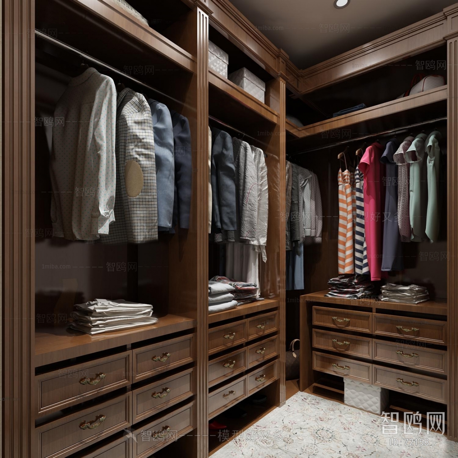 American Style Clothes Storage Area