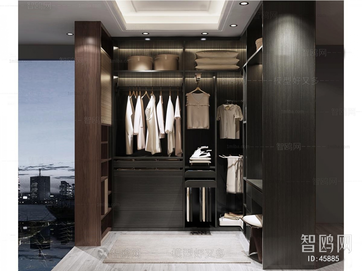 Modern Clothes Storage Area