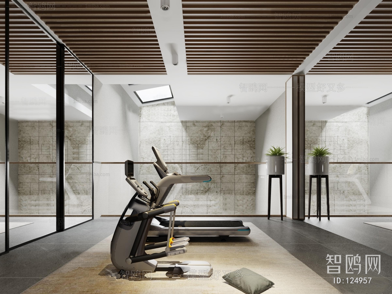 Modern Gym