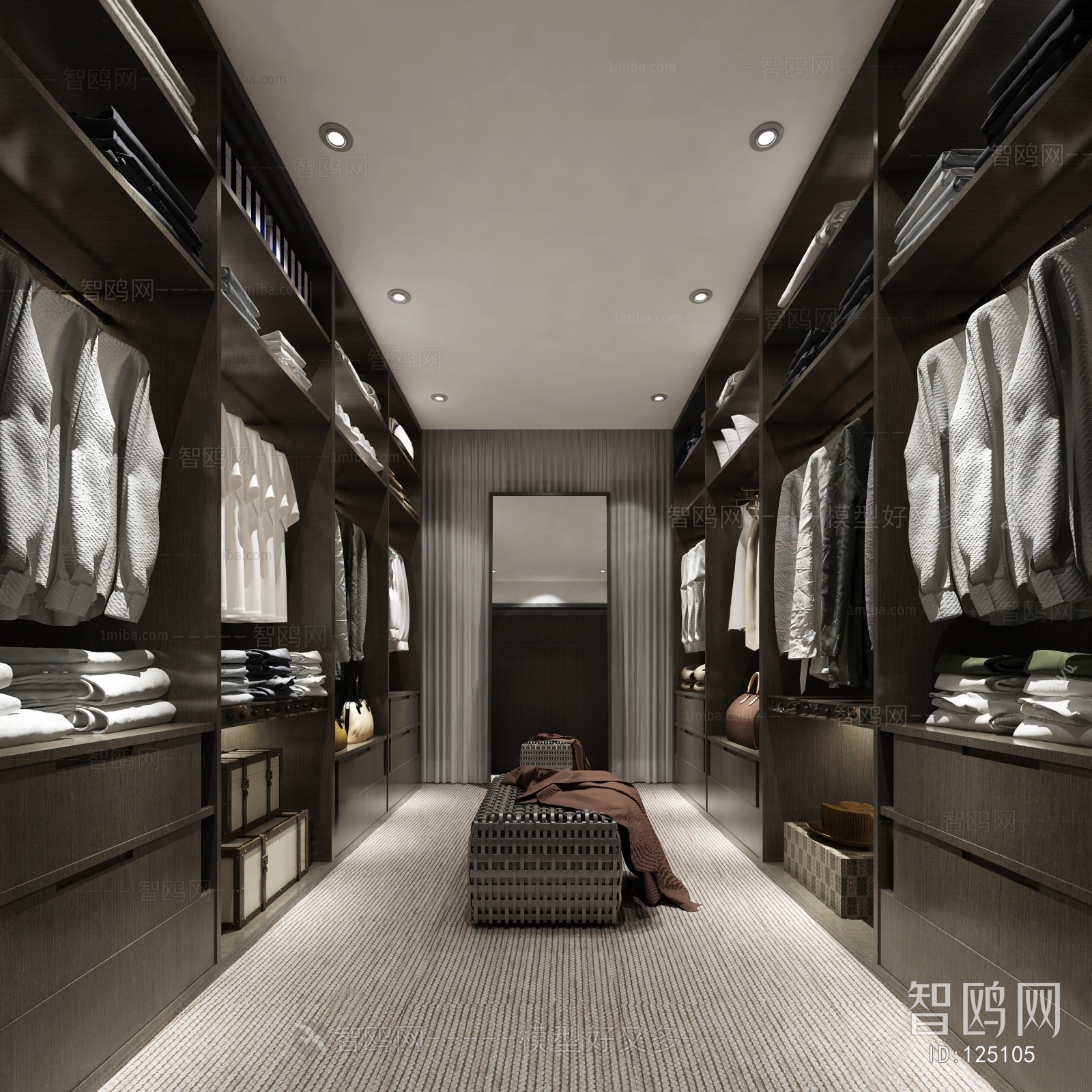 Modern Clothes Storage Area