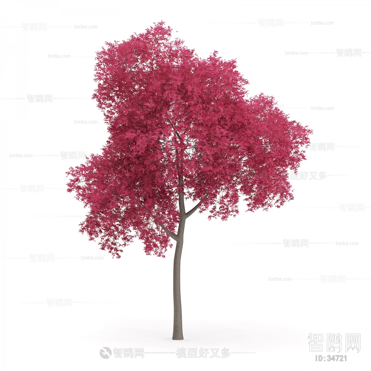 Modern Tree/shrub/grass