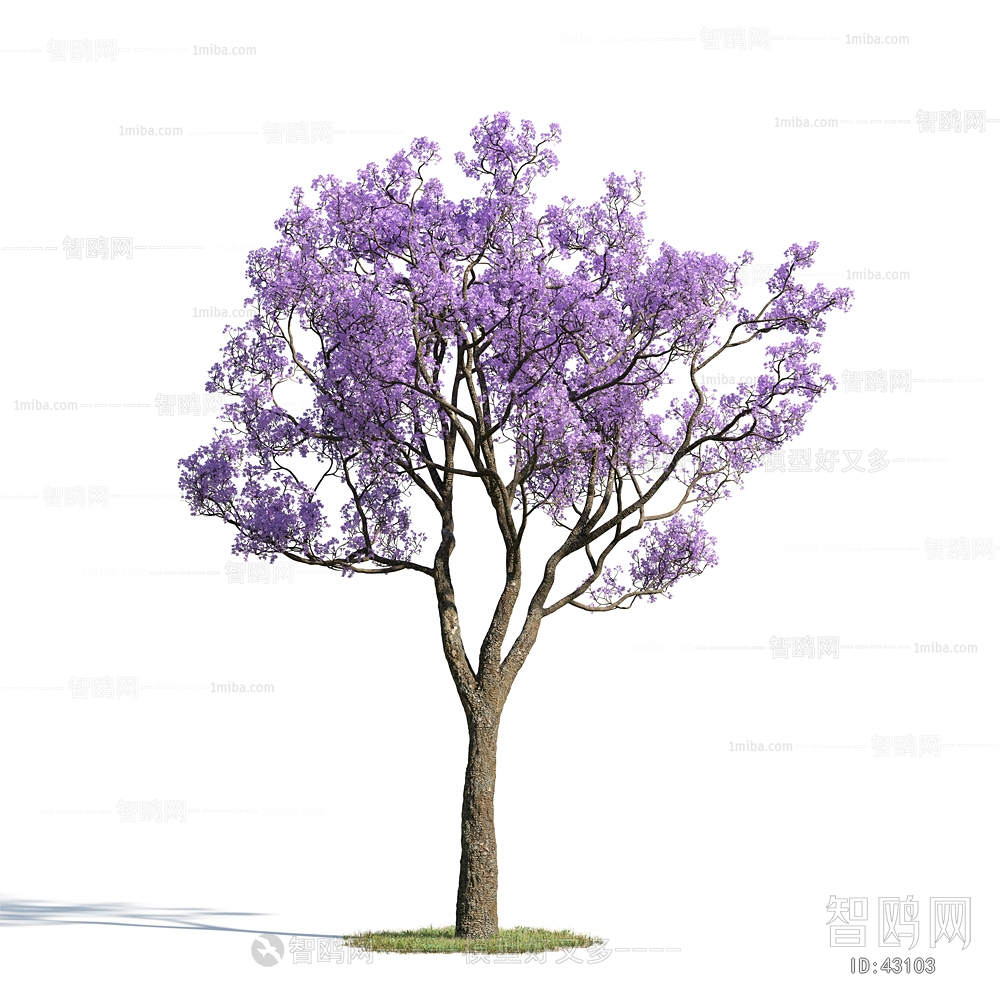 Modern Tree/shrub/grass