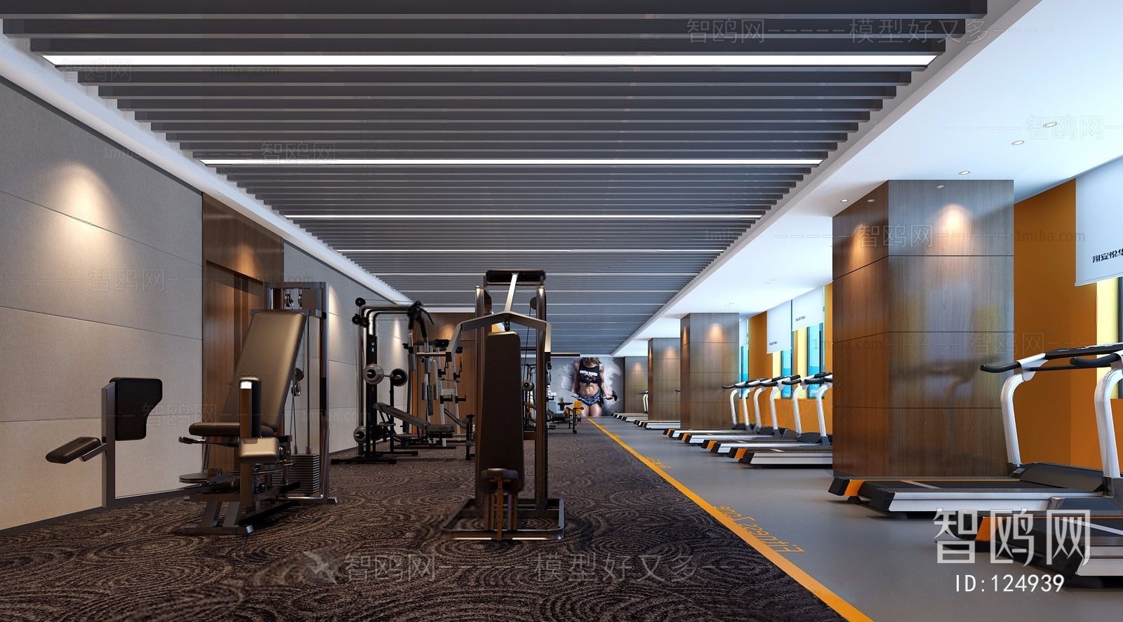 Modern Gym