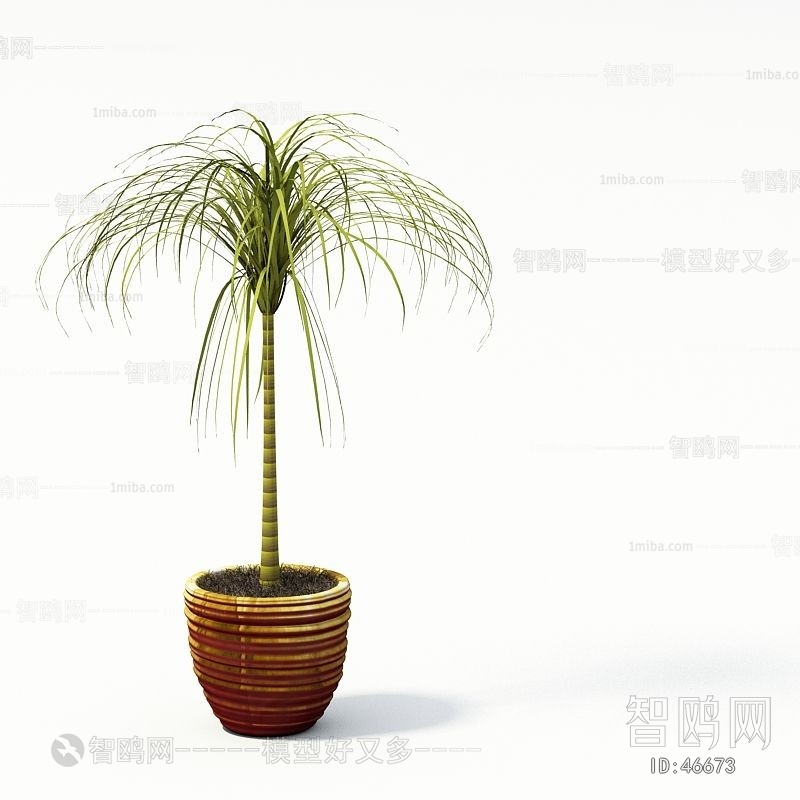 Modern Potted Green Plant