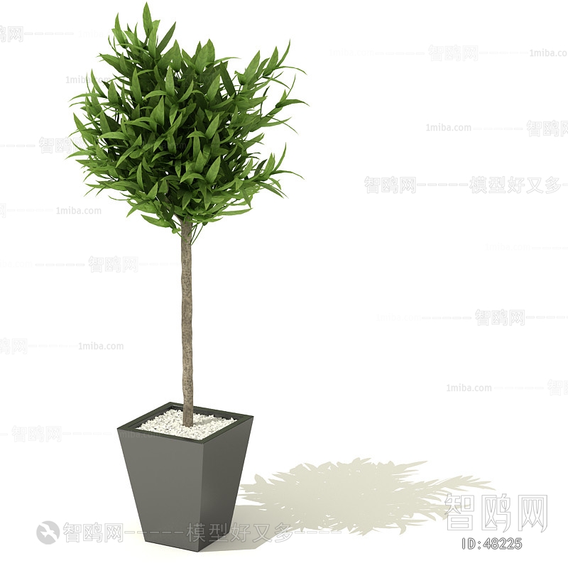 Modern Potted Green Plant