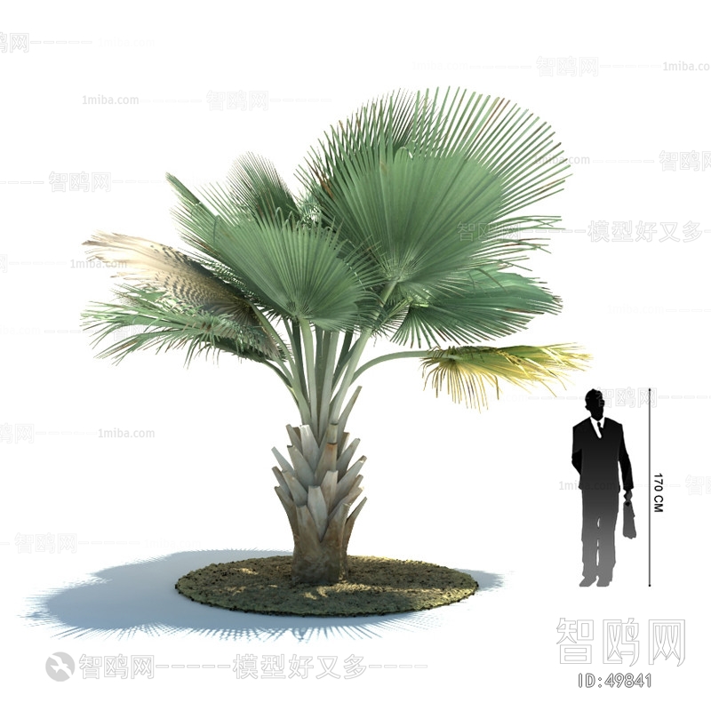 Modern Tree/shrub/grass