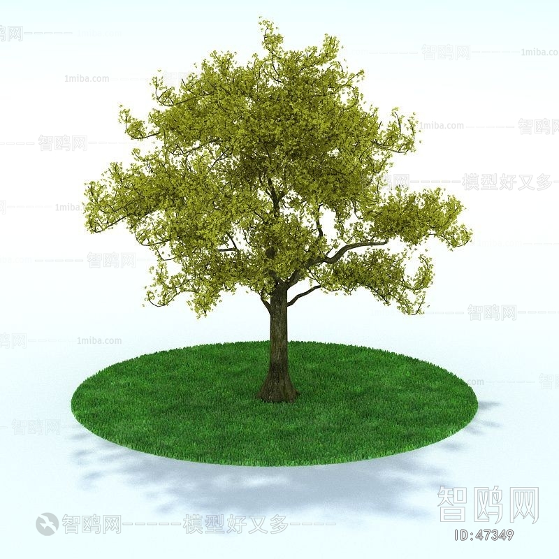 Modern Tree/shrub/grass