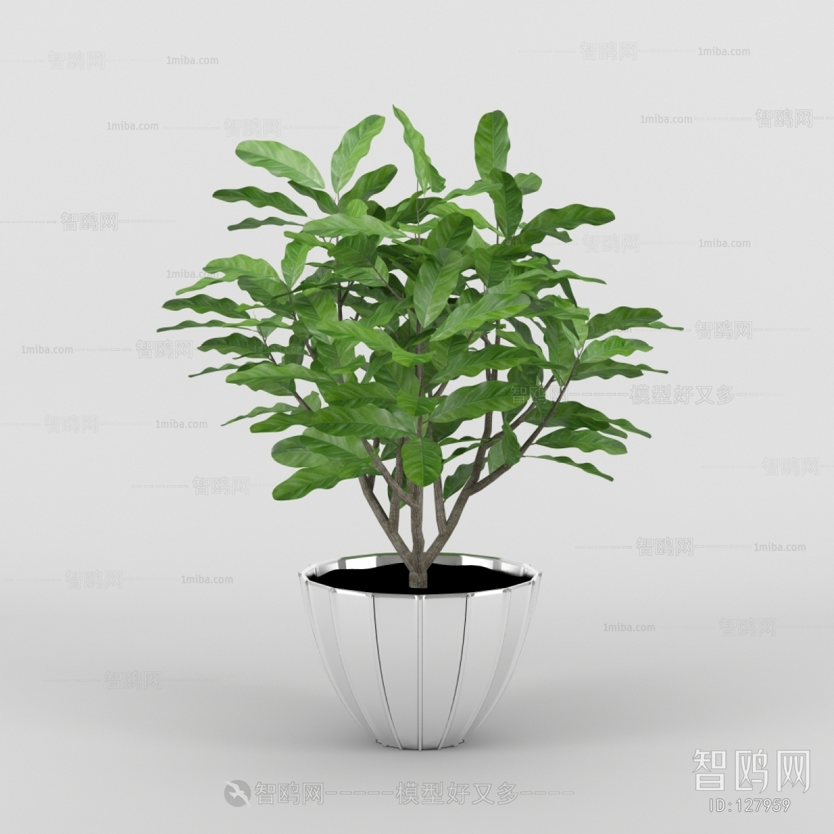 Modern Potted Green Plant