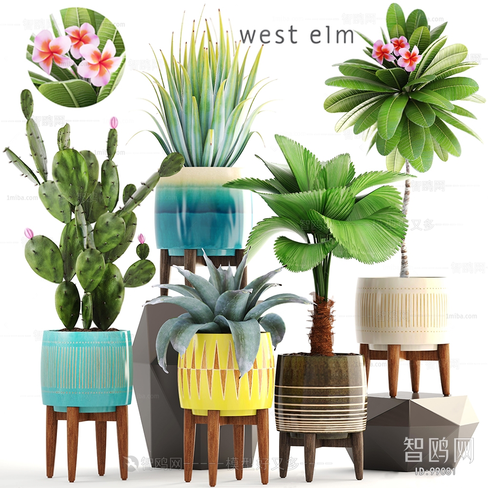 Modern Nordic Style Potted Green Plant