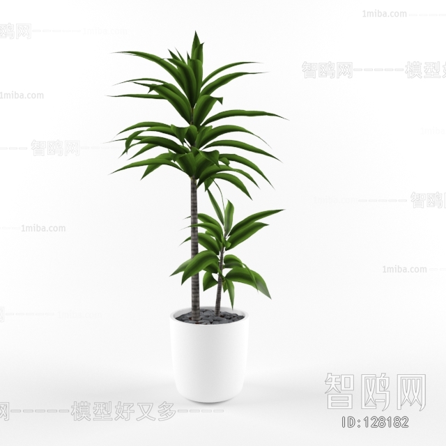 Modern Potted Green Plant