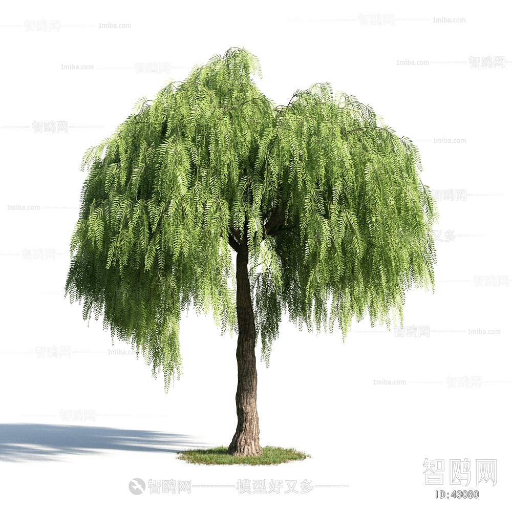 Modern Tree/shrub/grass