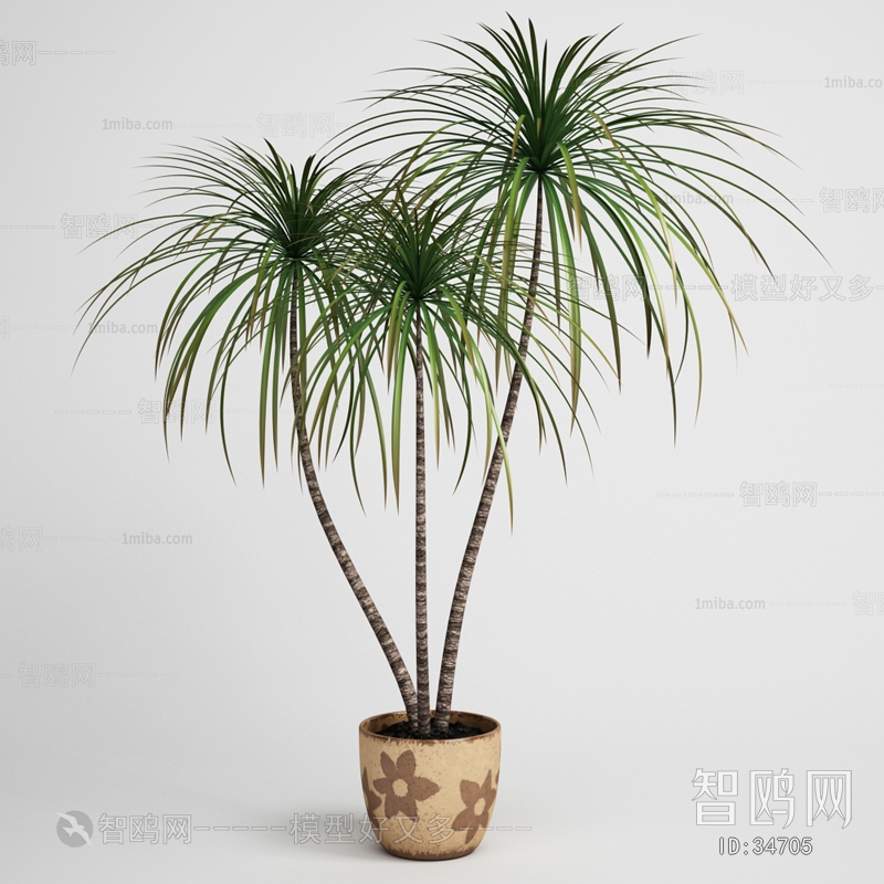 Modern Potted Green Plant