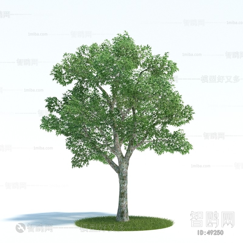 Modern Tree/shrub/grass