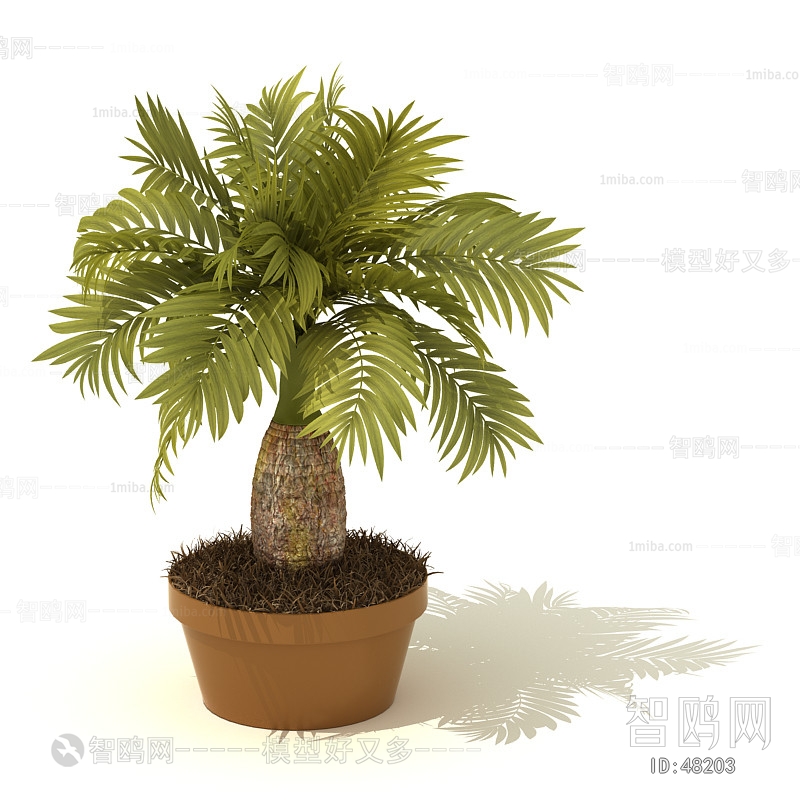 Modern Potted Green Plant