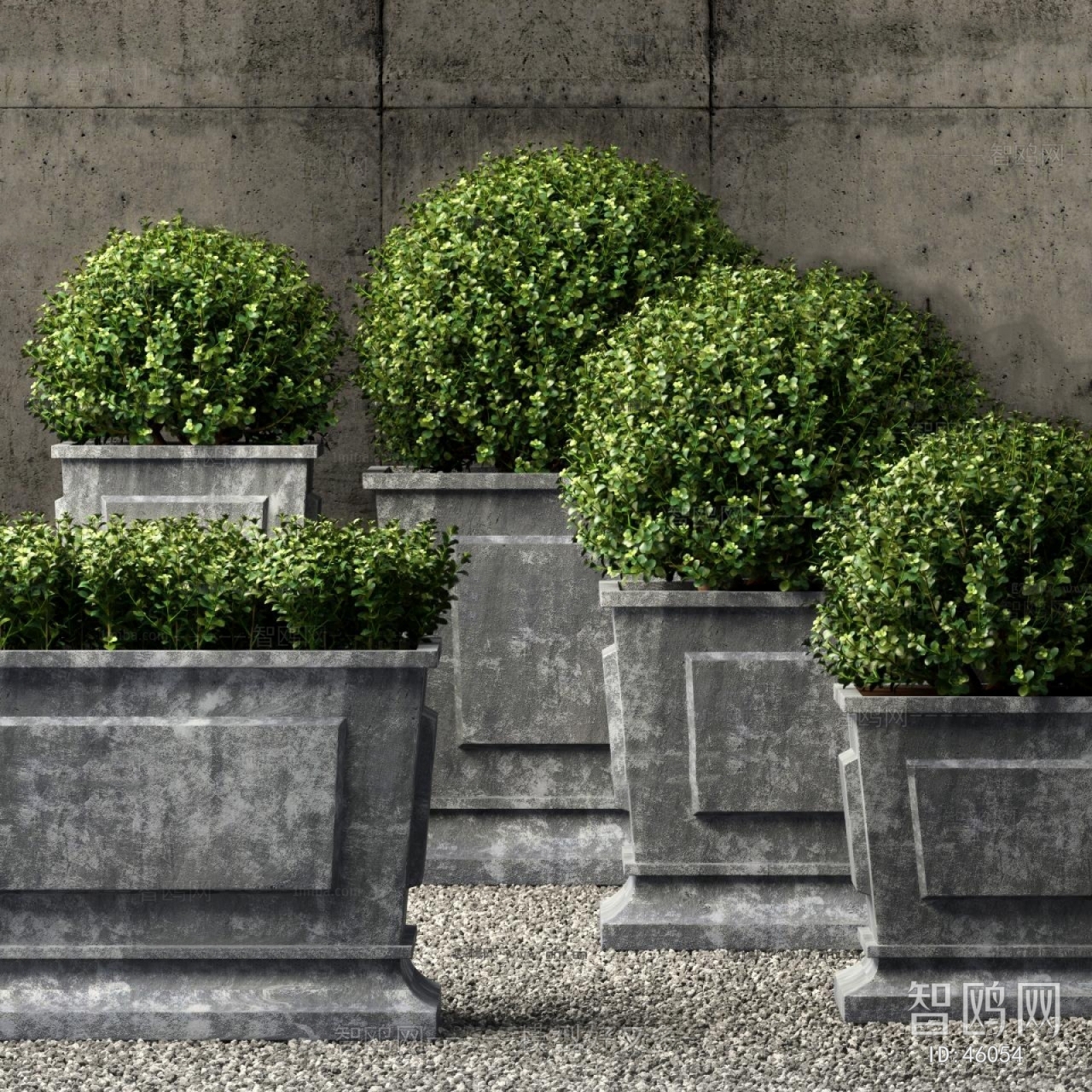 Modern Potted Green Plant