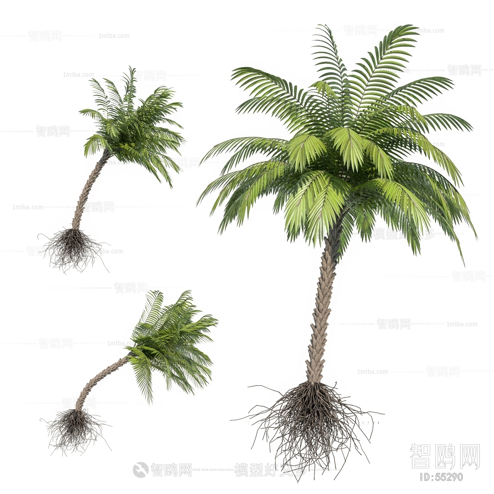 Modern Tree/shrub/grass