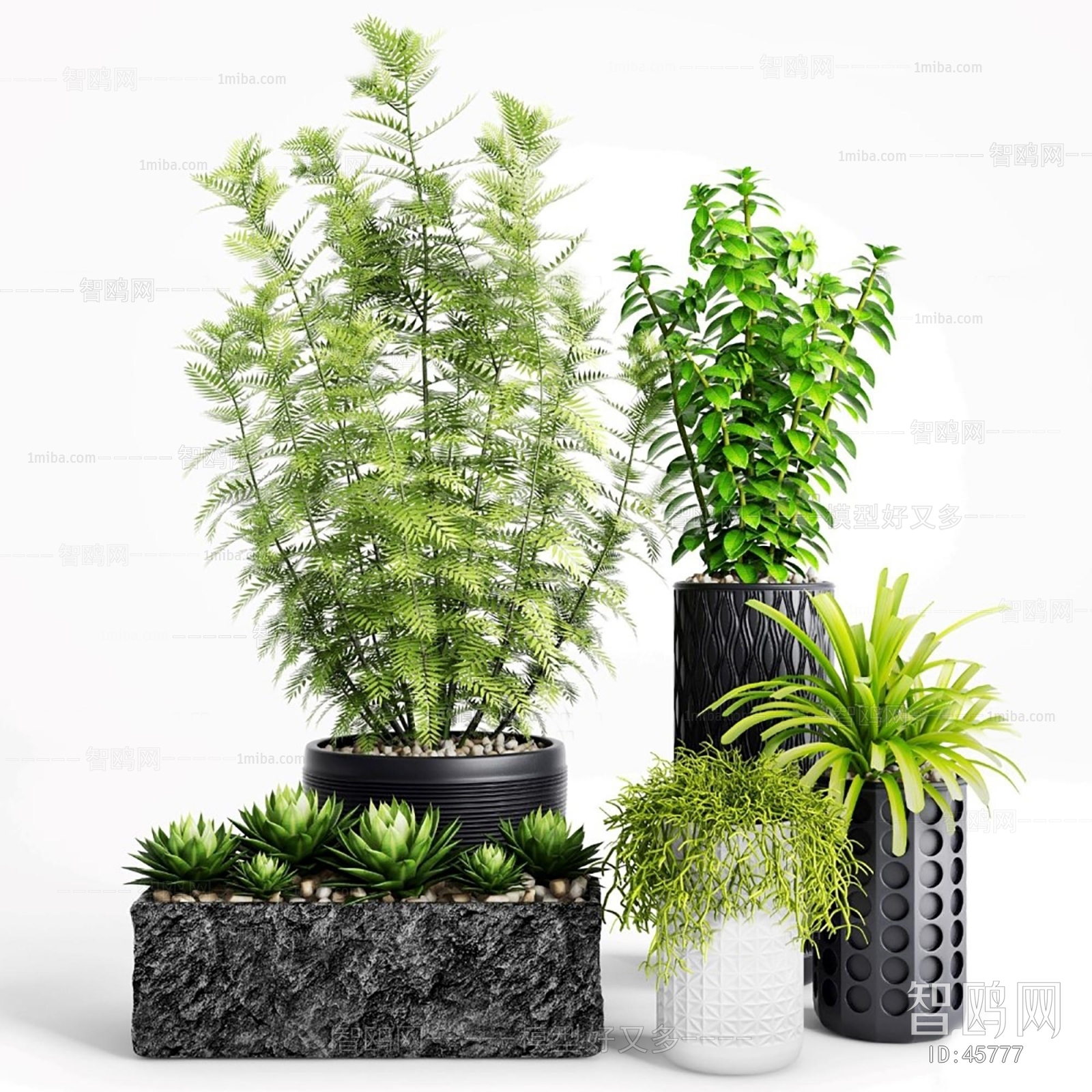 Modern Potted Green Plant