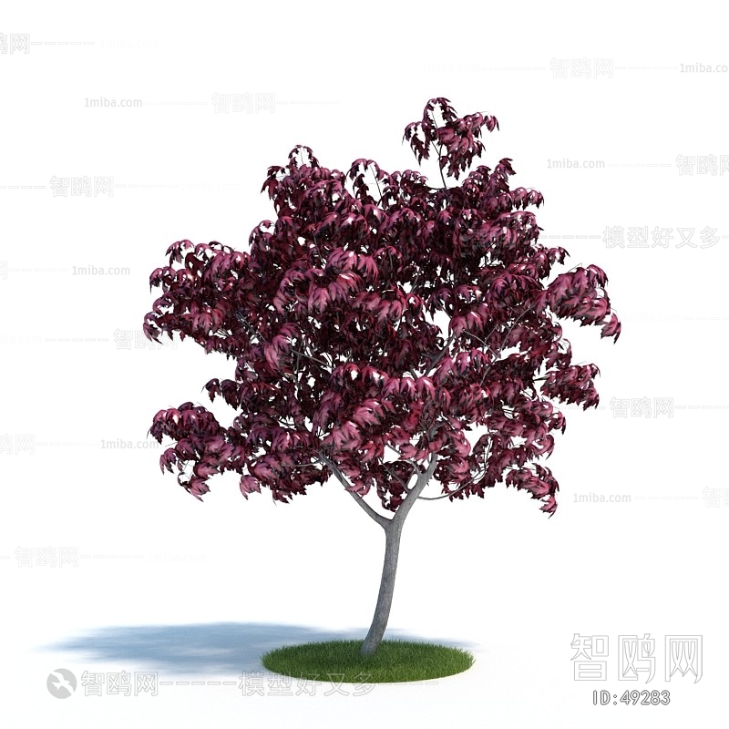 Modern Tree/shrub/grass