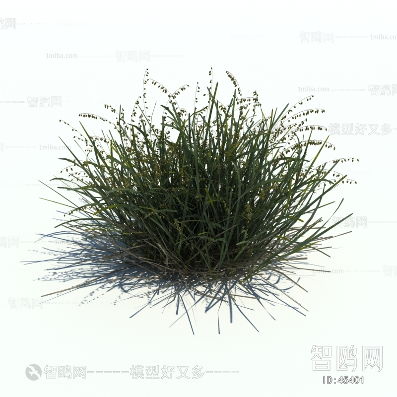 Modern Tree/shrub/grass