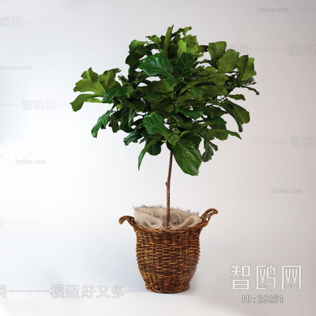 Modern Potted Green Plant