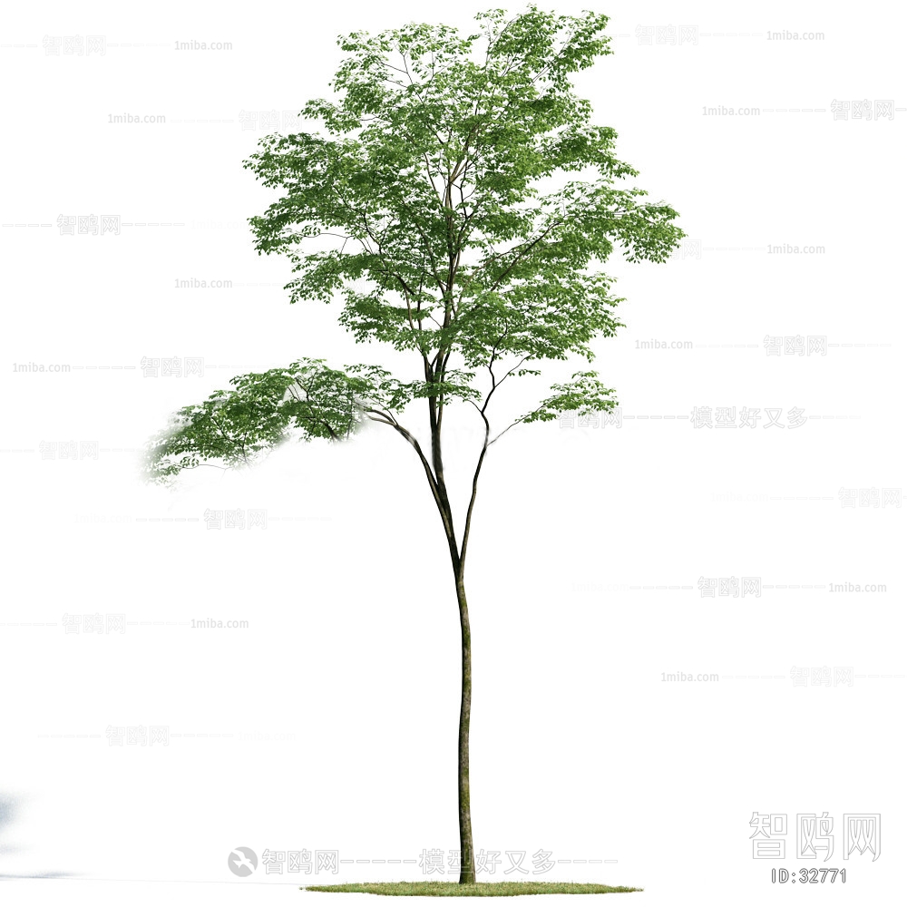 Modern Tree/shrub/grass