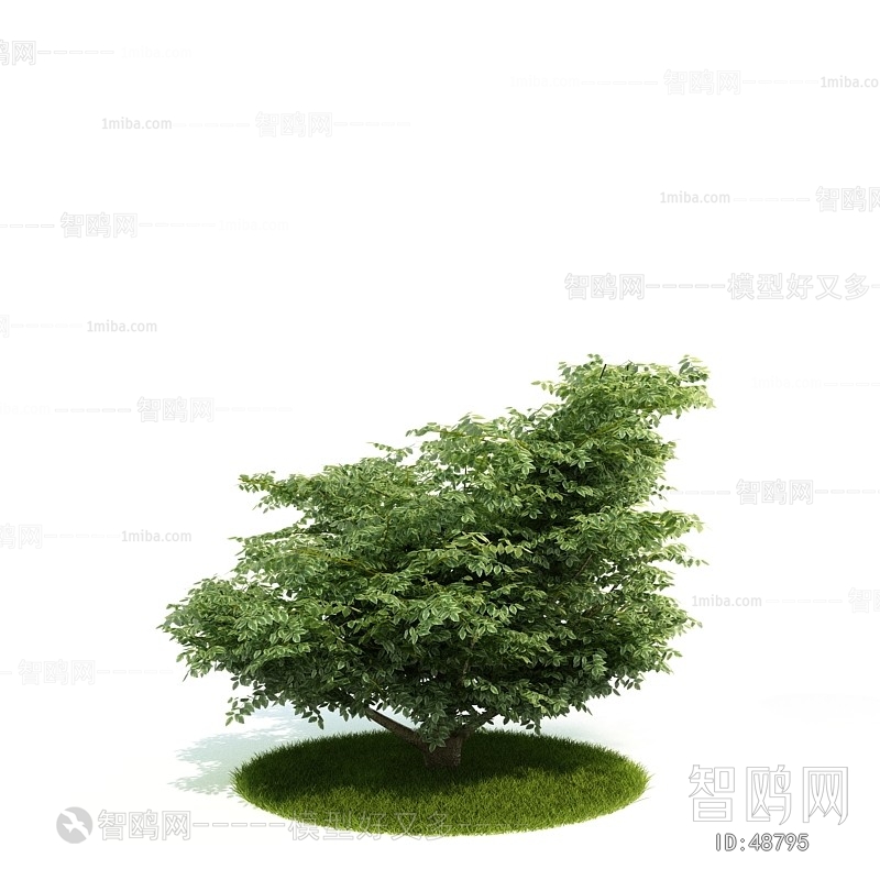 Modern Tree/shrub/grass