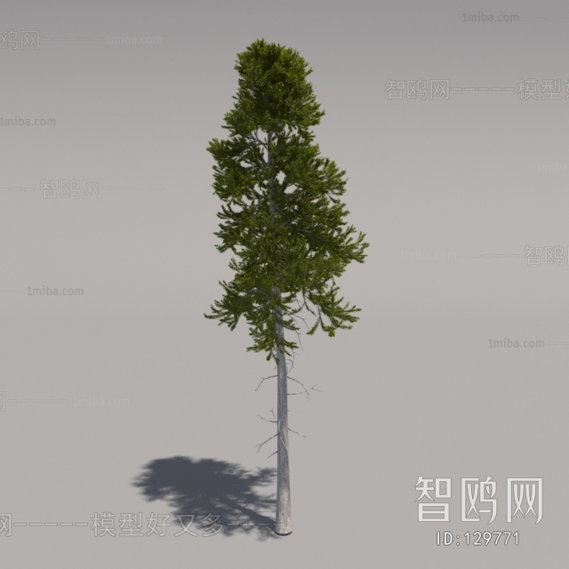 Modern Tree