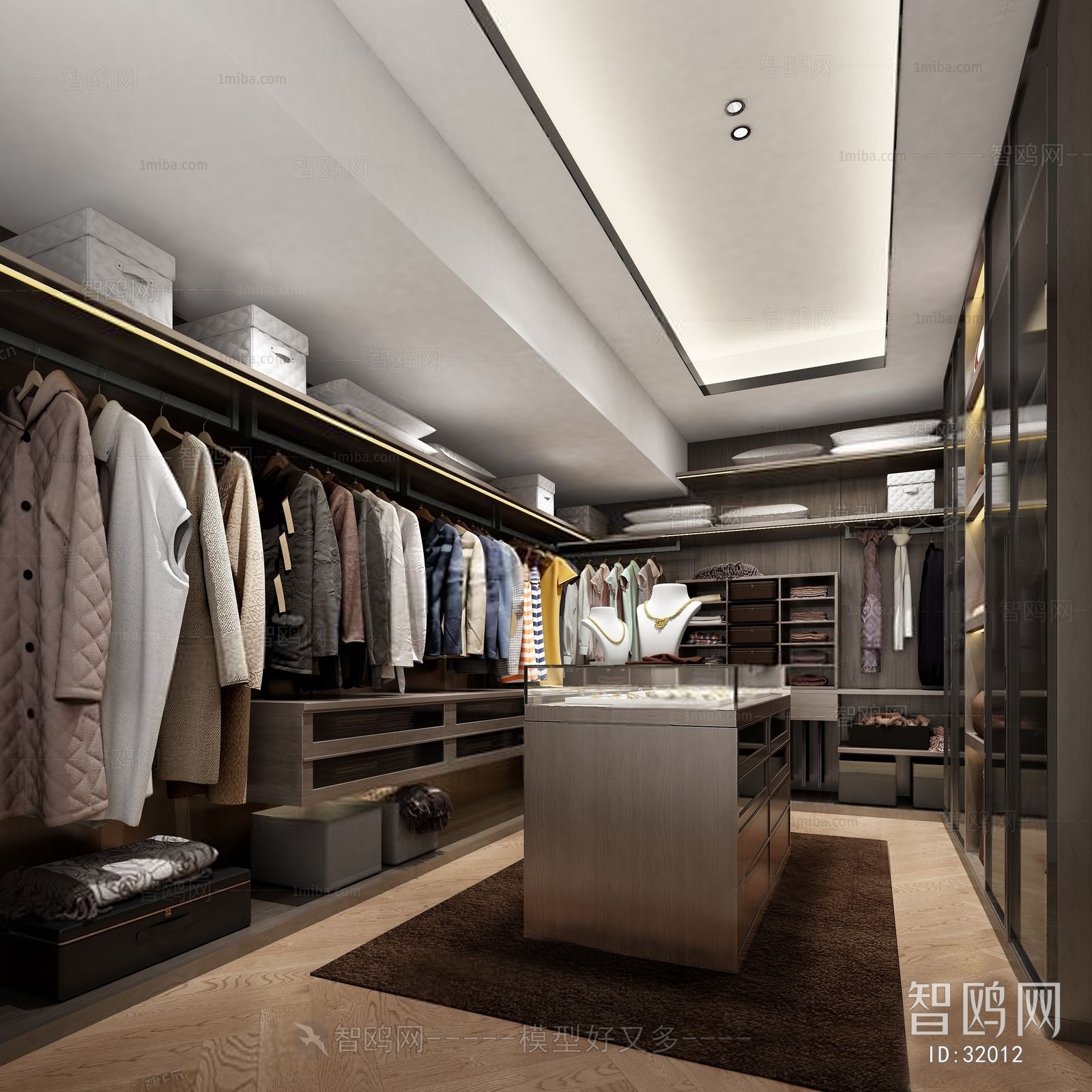 Modern Clothes Storage Area