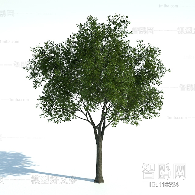 Modern Tree