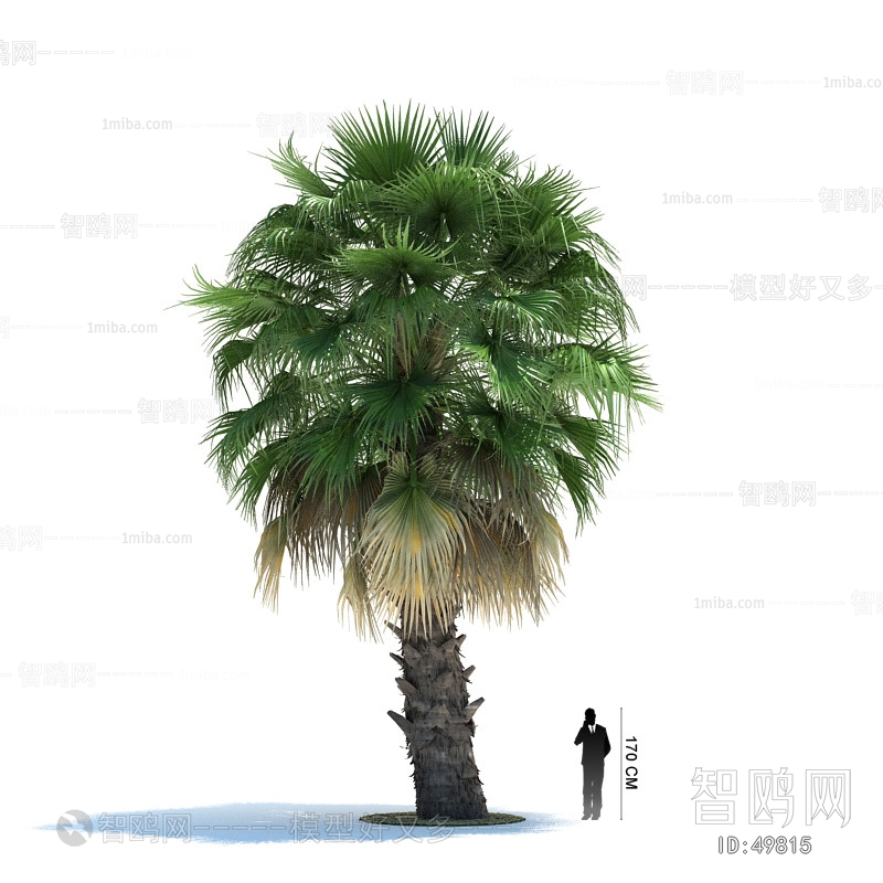 Modern Tree/shrub/grass