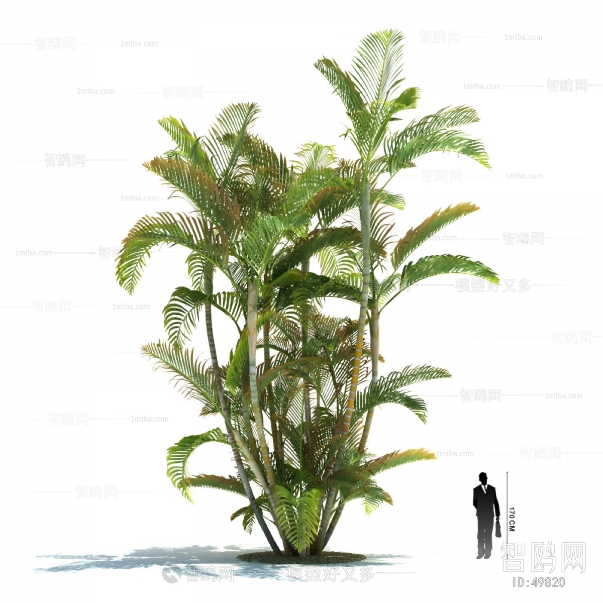 Modern Tree/shrub/grass