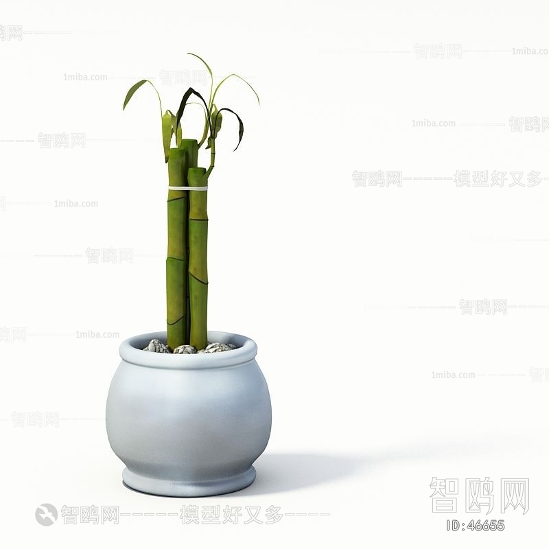 Modern Potted Green Plant