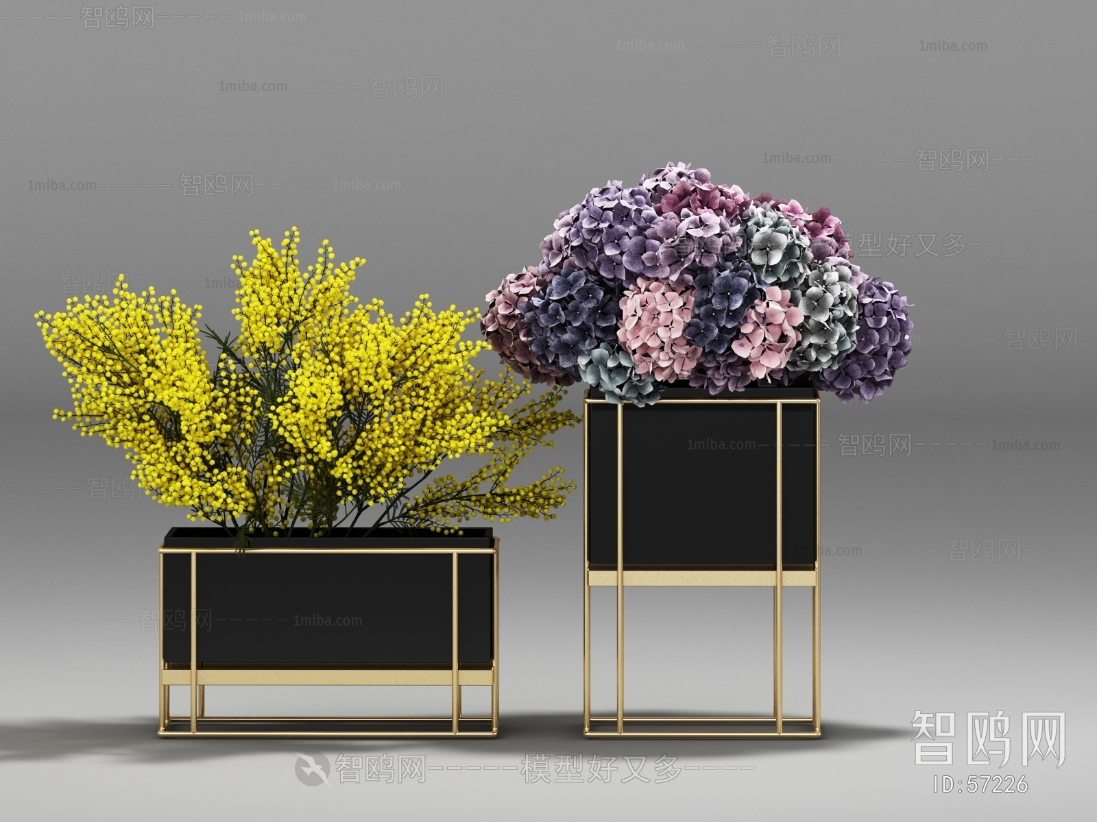 Modern Flowers