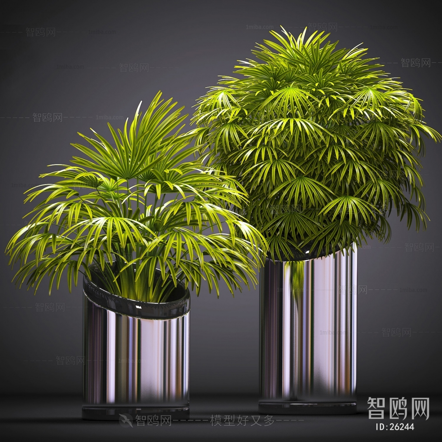 Modern Potted Green Plant