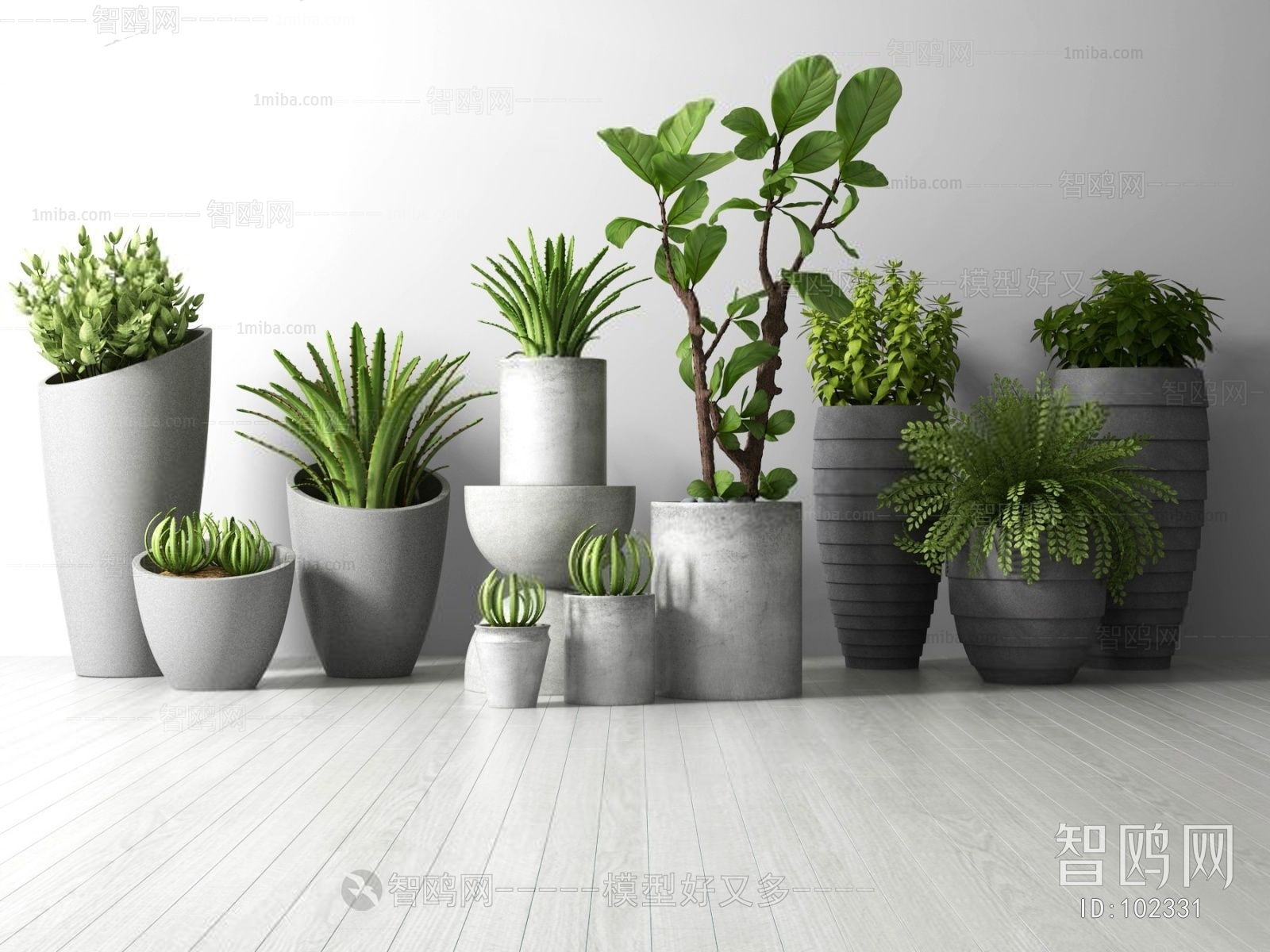 Modern Potted Green Plant