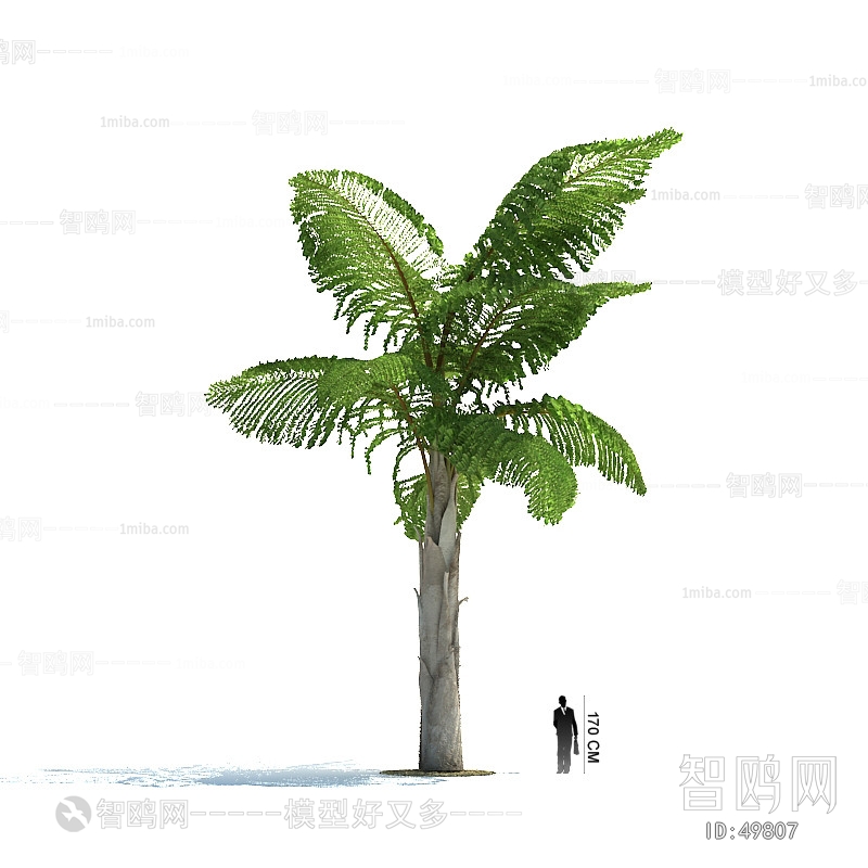 Modern Tree/shrub/grass