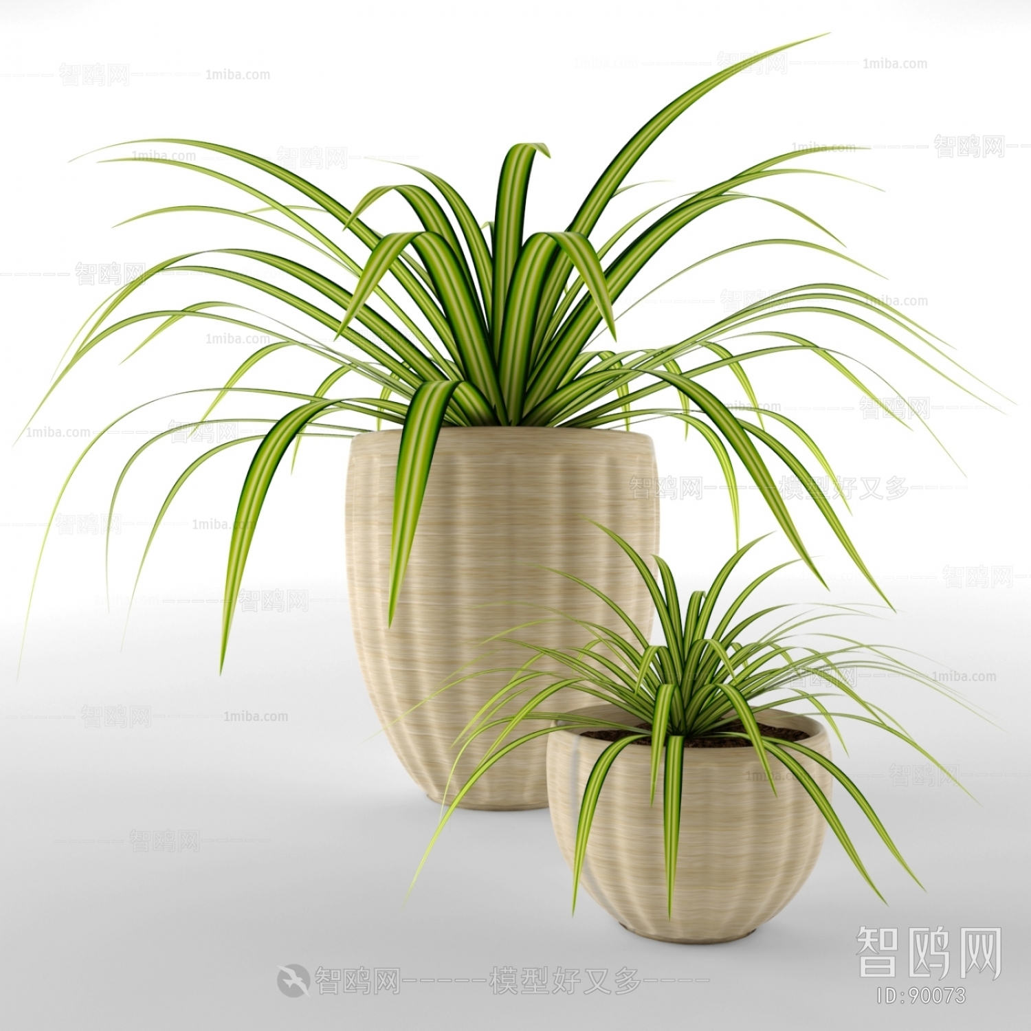 Modern Potted Green Plant