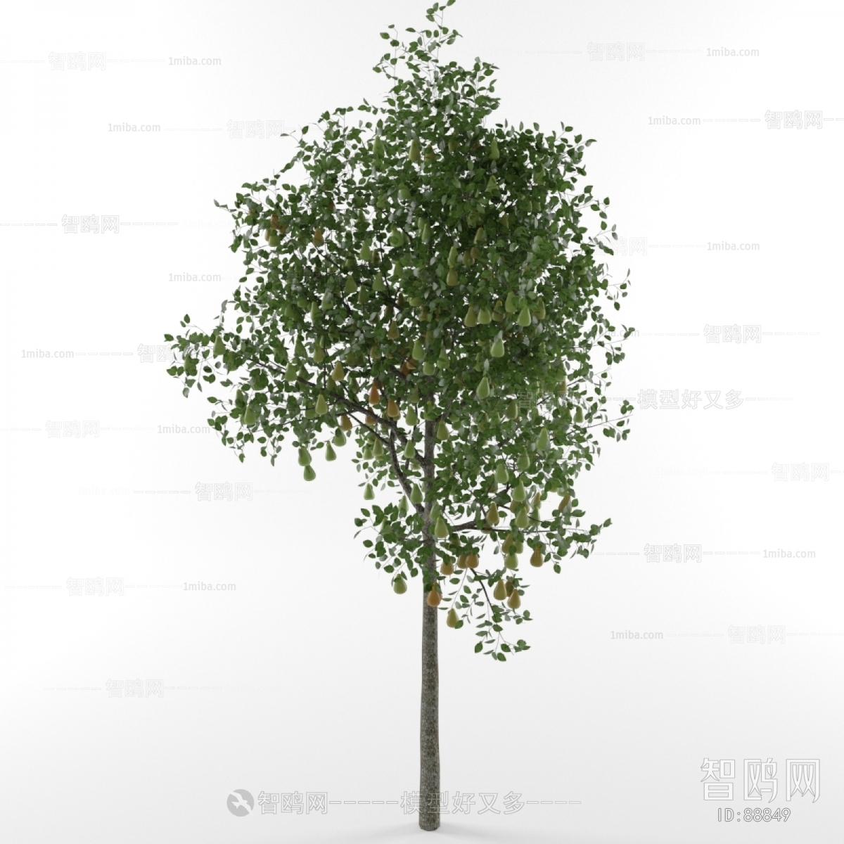 Modern Tree