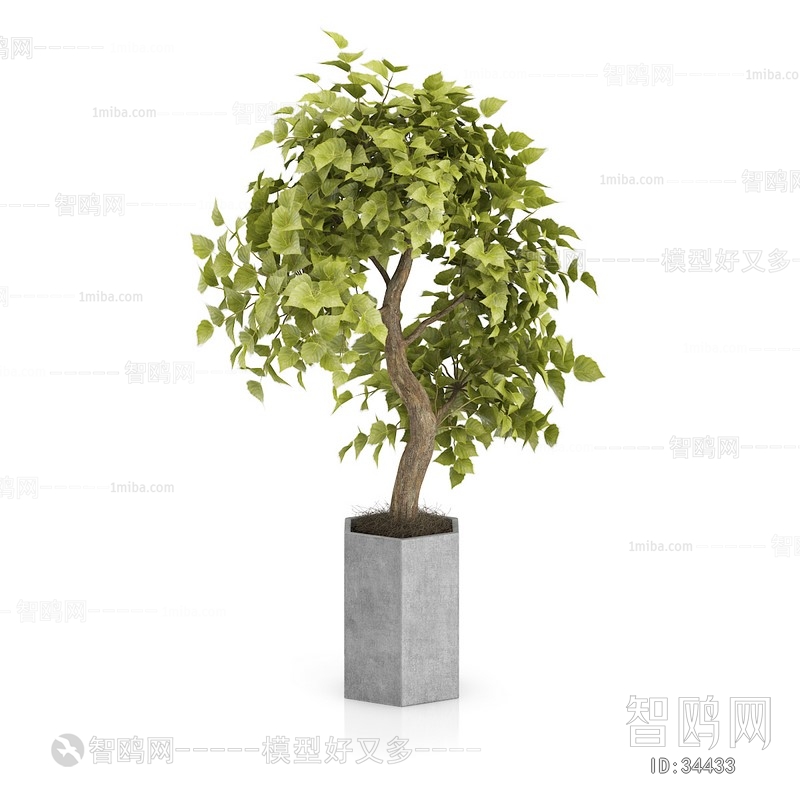 现代绿植盆栽