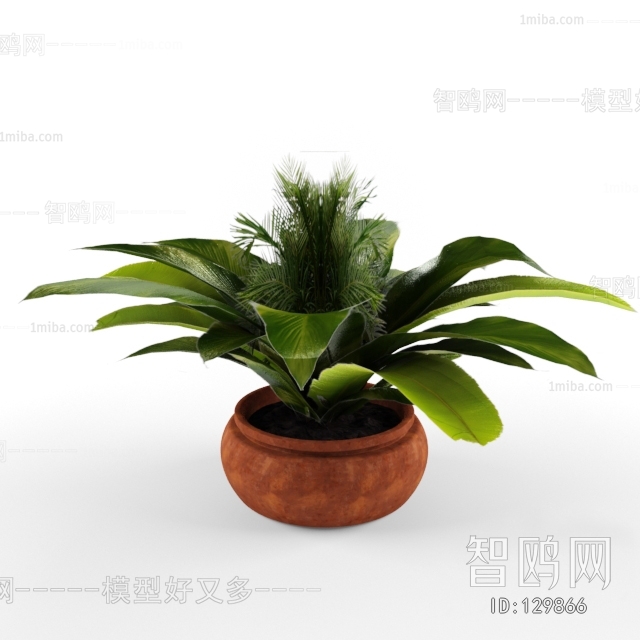 Modern Potted Green Plant