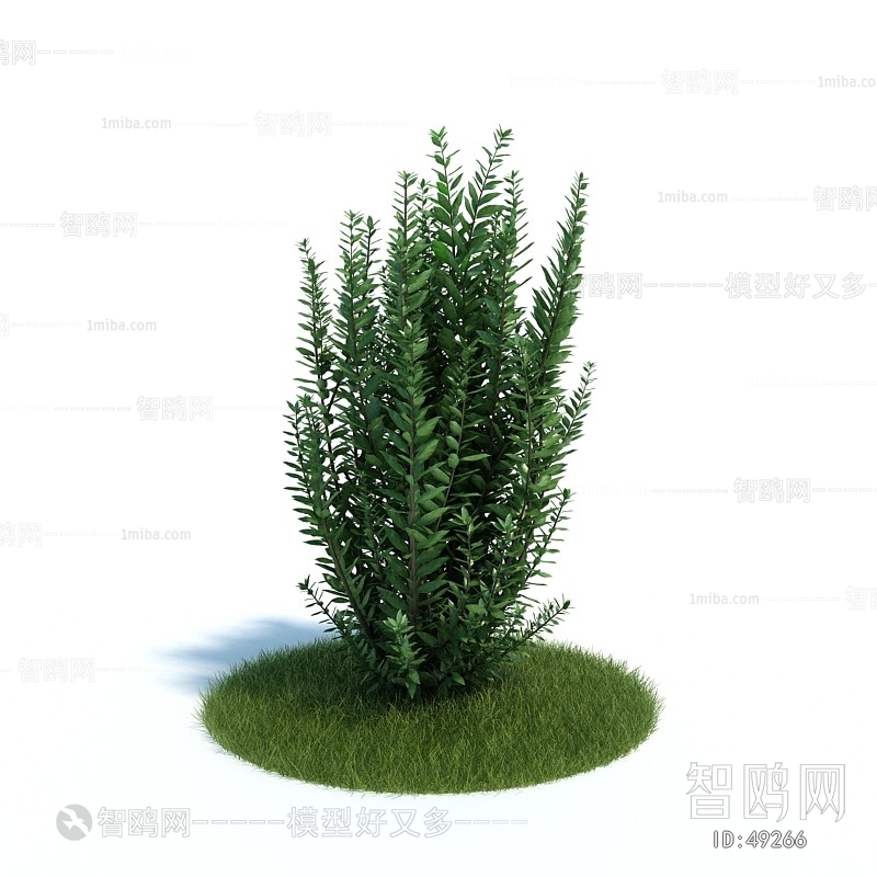 Modern Tree/shrub/grass