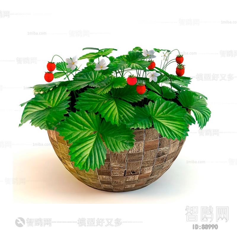 Modern Potted Green Plant