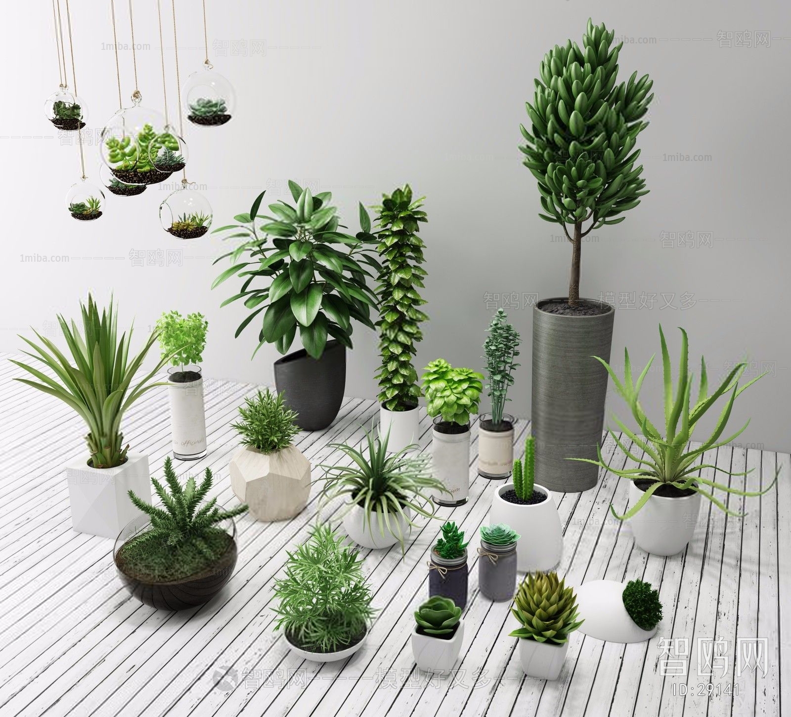 Modern Potted Green Plant