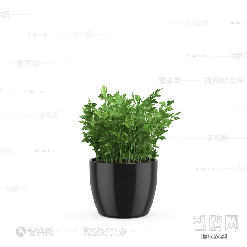 Modern Potted Green Plant