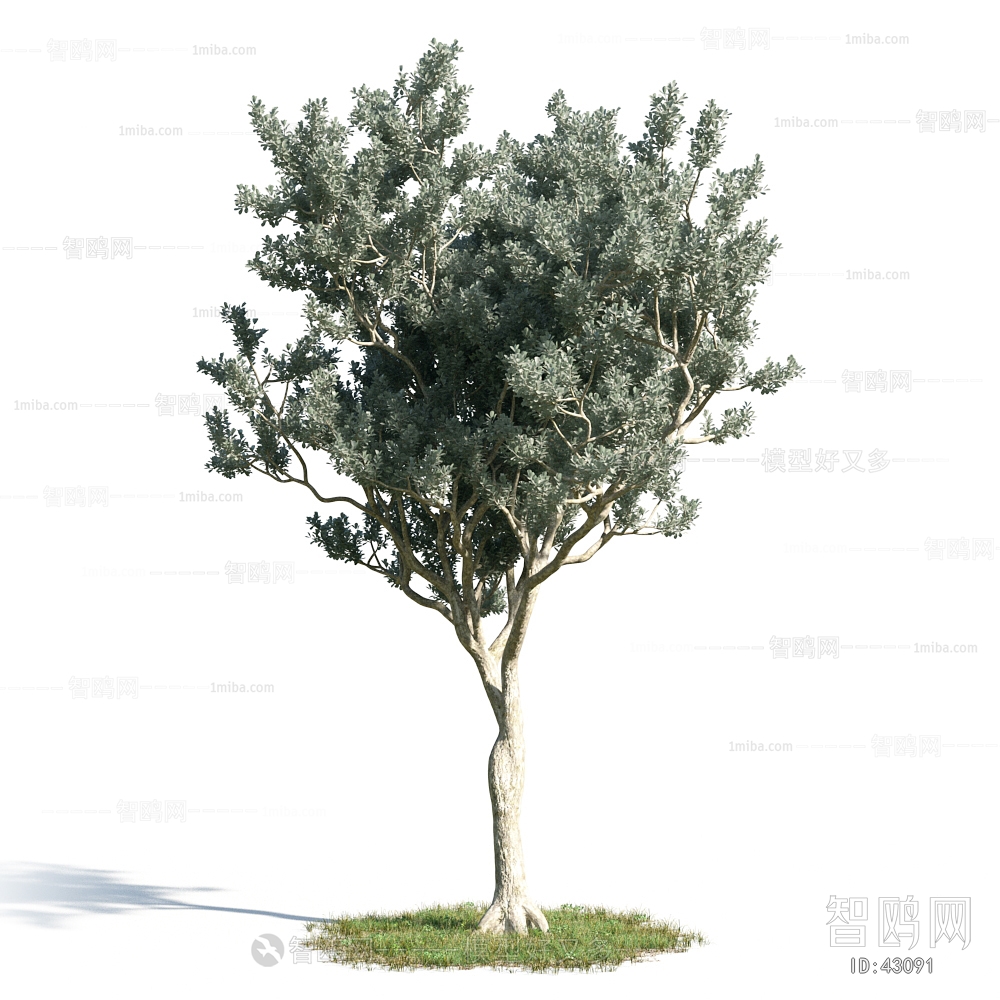 Modern Tree/shrub/grass