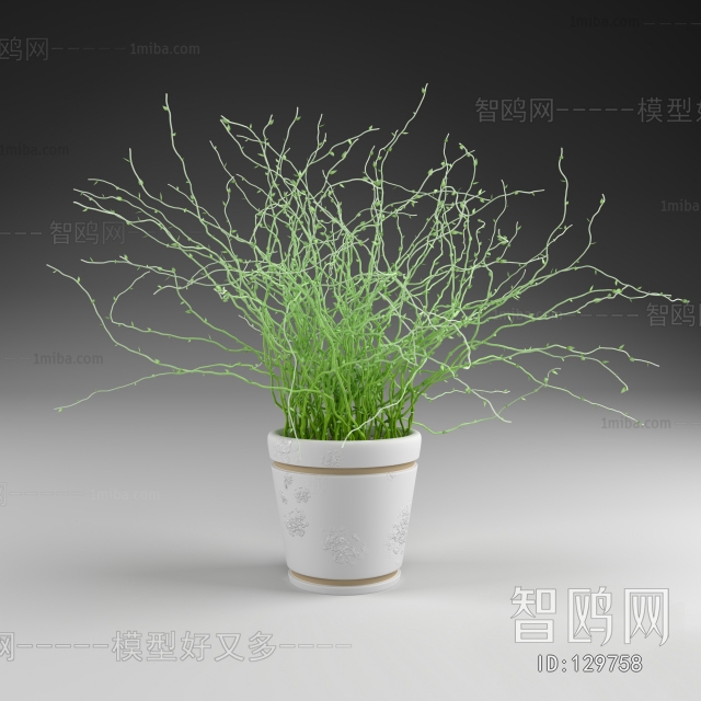 Modern Potted Green Plant