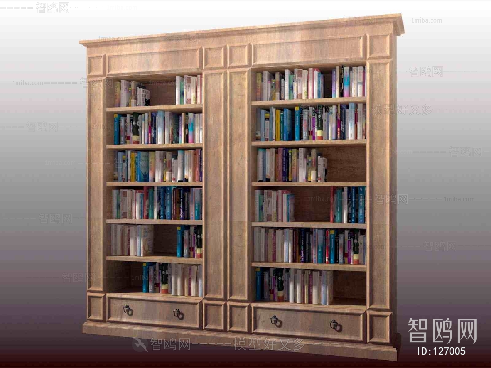 Modern Bookcase