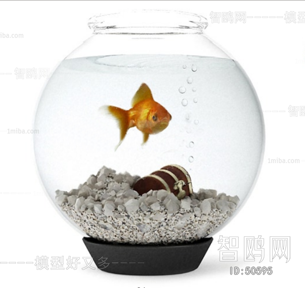 Modern Fish Tank