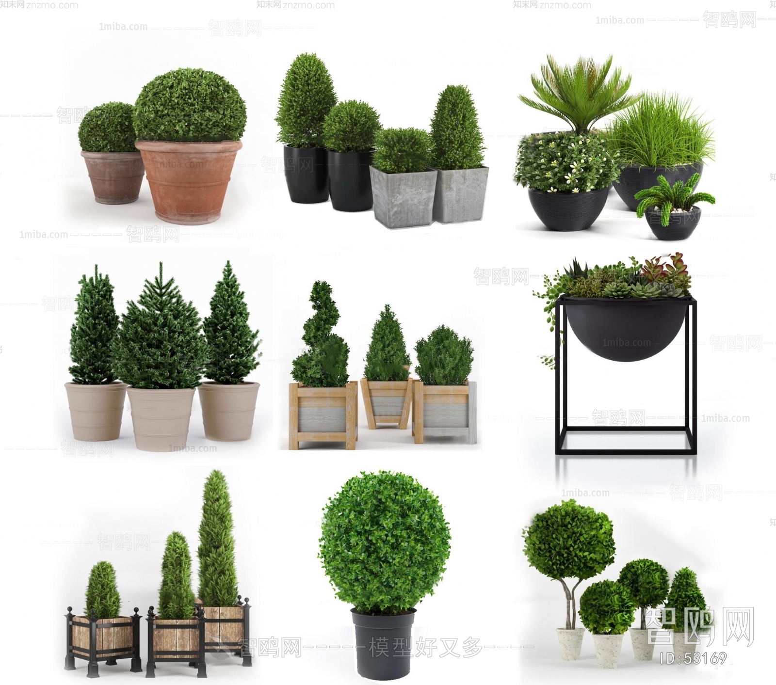 Modern Potted Green Plant